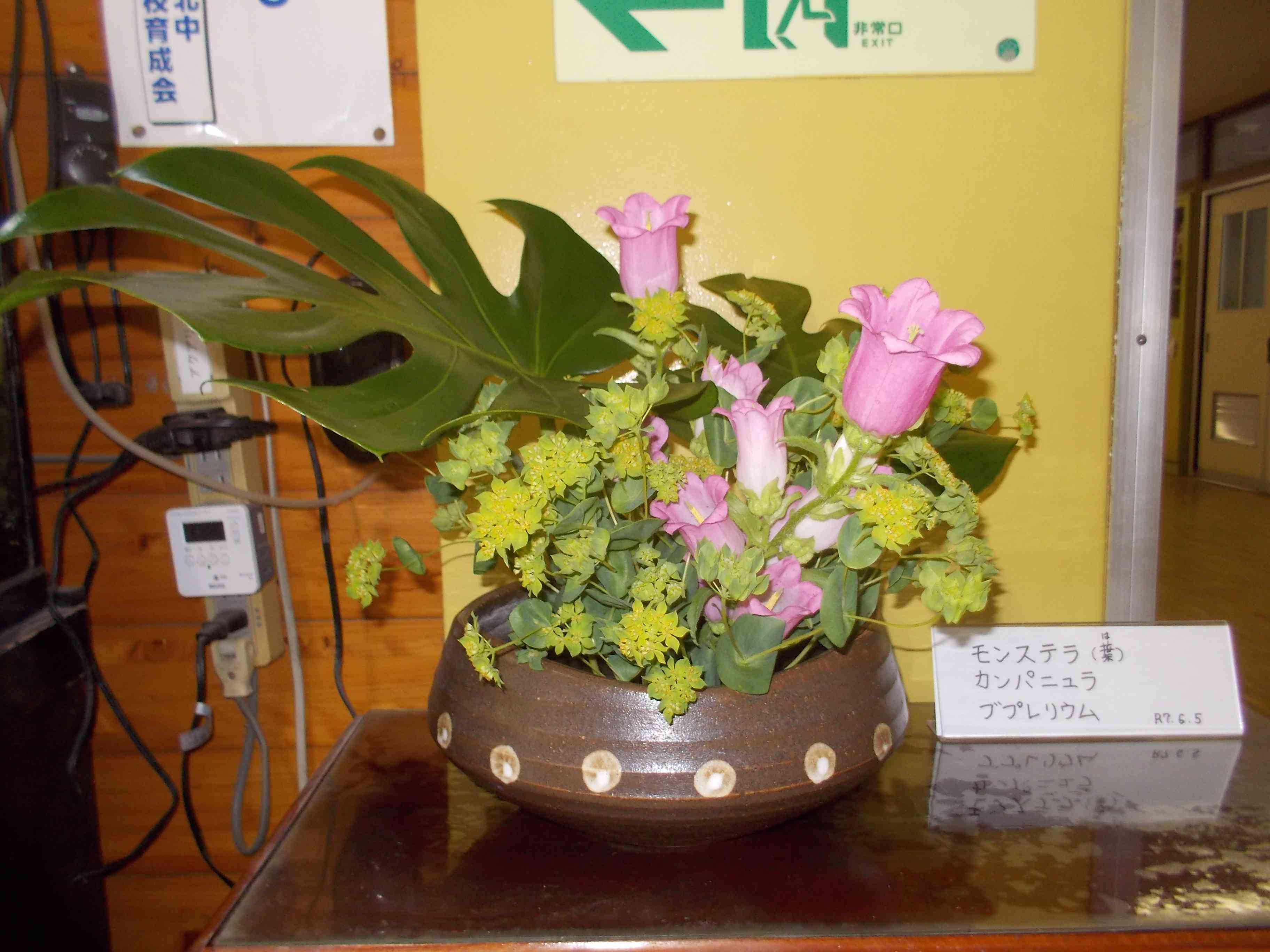 DSCN5234