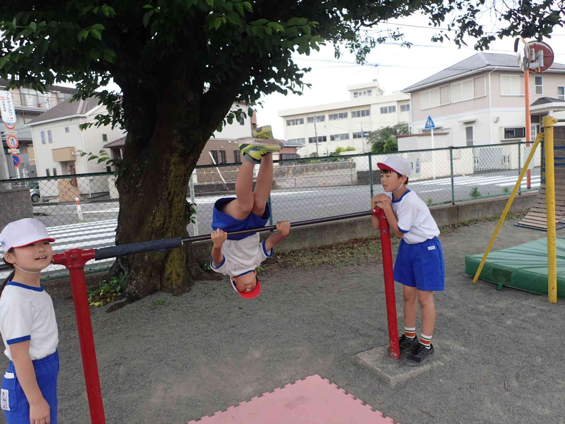 P6060604