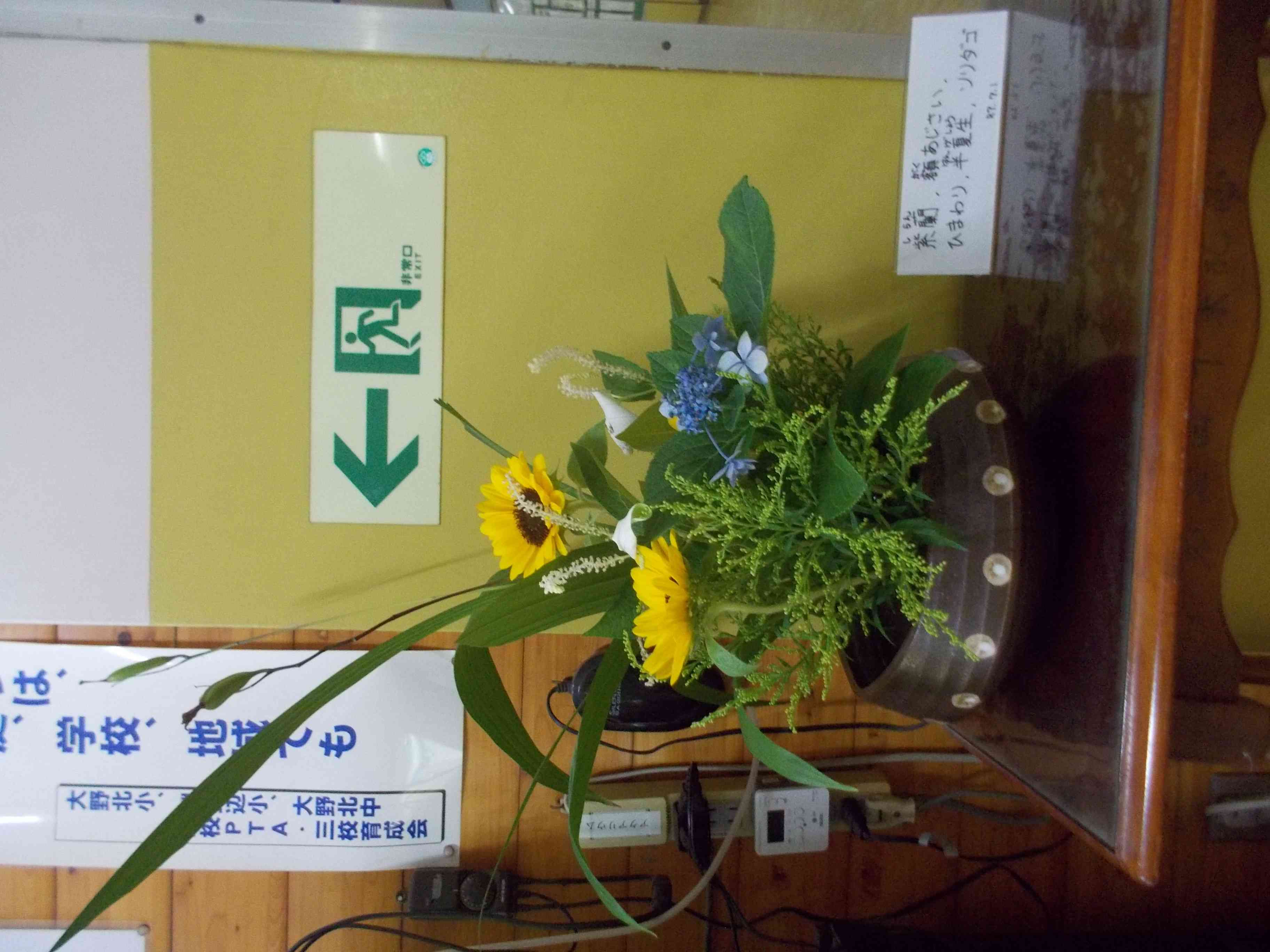 DSCN5396
