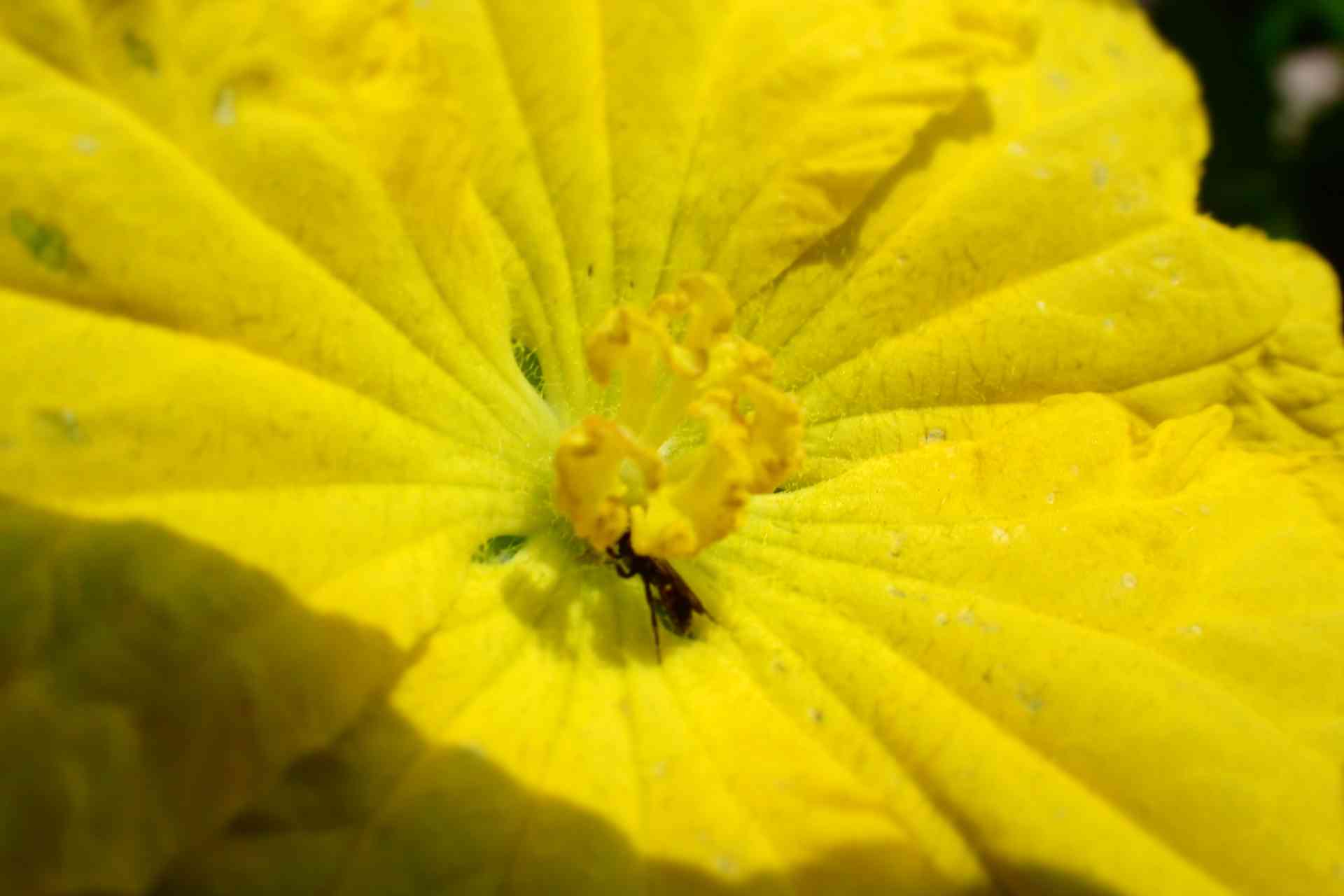 P8291001